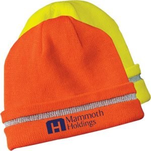 High Visibility Beanie with Reflective Stripe