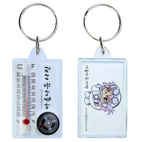 Rectangular Thermometer Compass Keychain