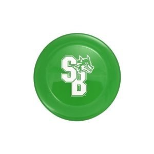9" Flyer Disc